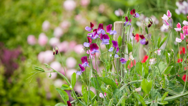 今夜市原ルームお待ちしてます
