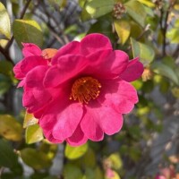 おはようございます