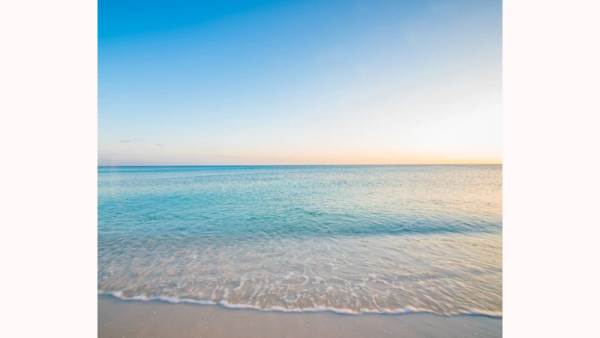 ありがとございました💞