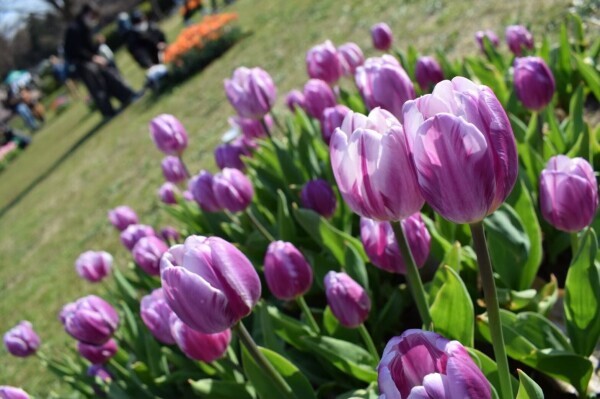 おはようございます🌞