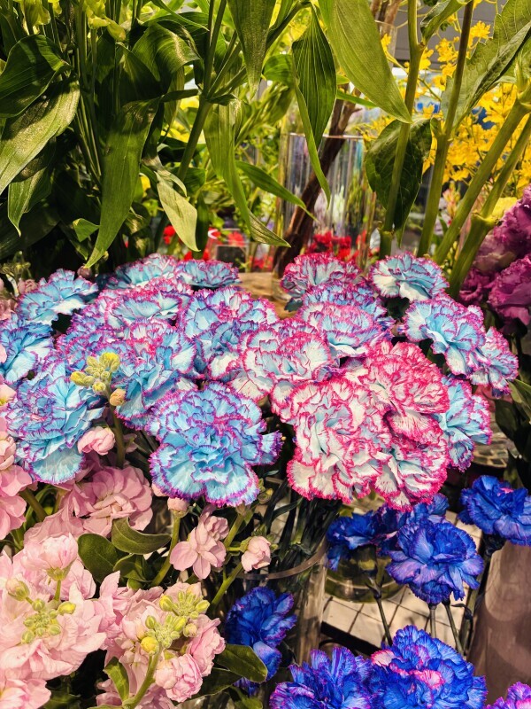 おはようございます🧡