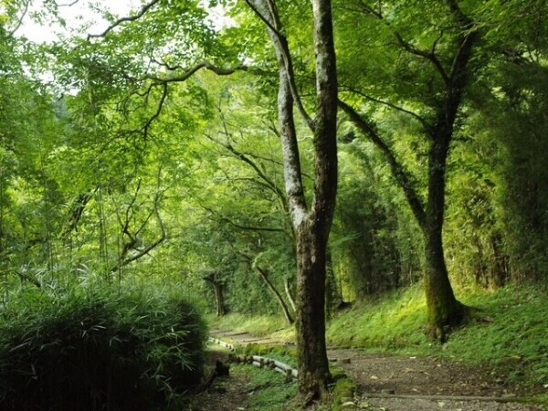 おはようございます☀