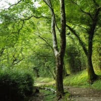 おはようございます☀