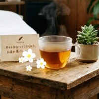 お疲れ様でした✨️✨️