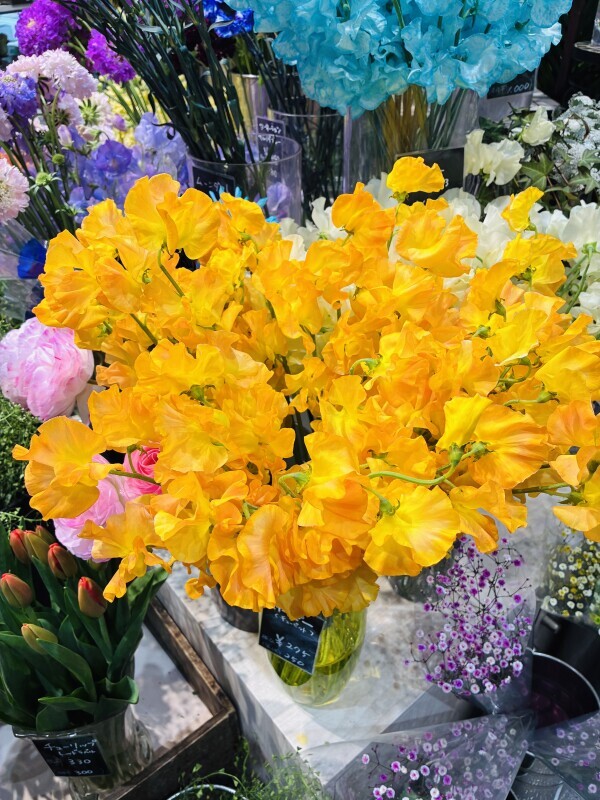 おはようございます🧡