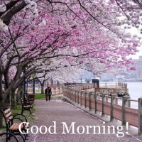 おはようございます