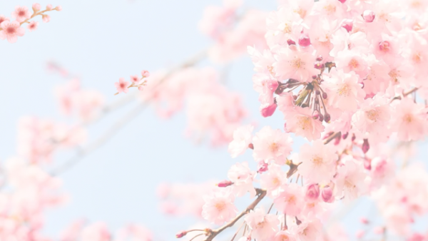 ありがとうございました💞