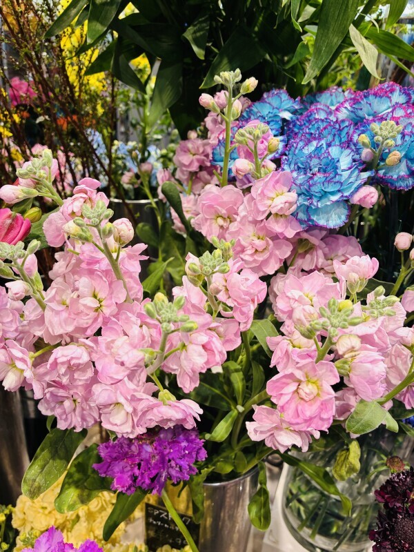 おはようございます🧡