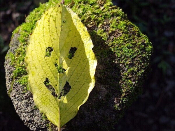 おはようございます✨