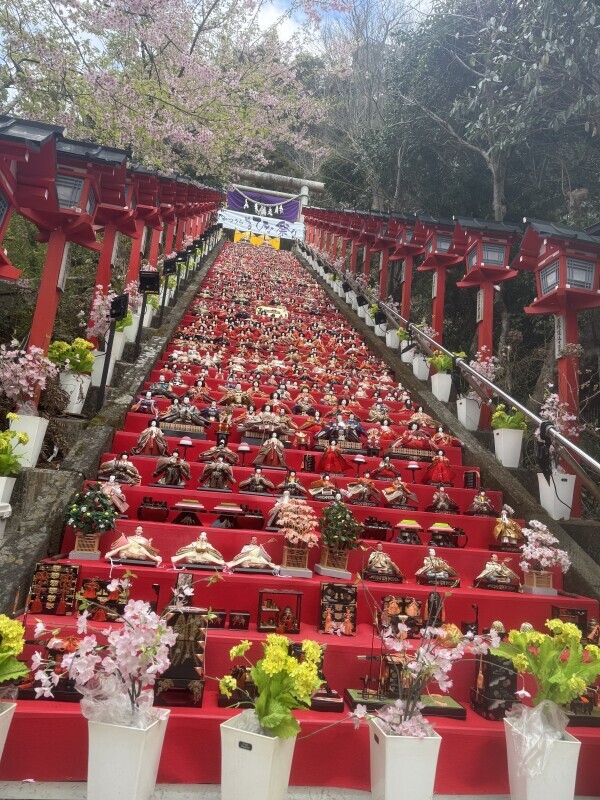 おはようございます