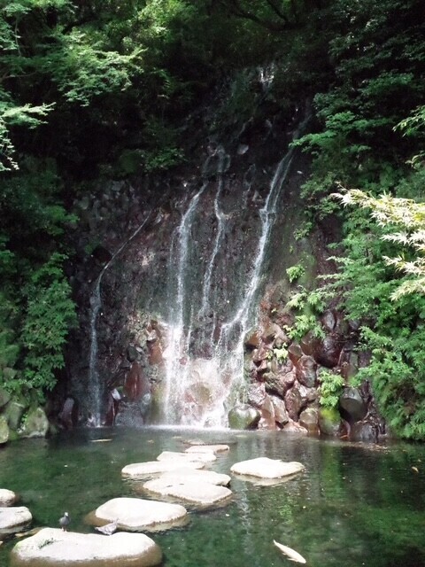 ありがとうございました✨