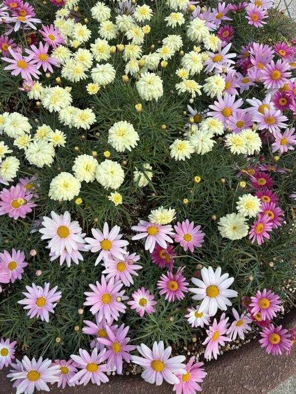 おはようございます♡