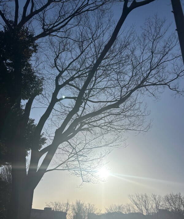 𝔾𝕠𝕠𝕕 𝕄𝕠𝕣𝕟𝕚𝕟𝕘 ☀︎*.｡