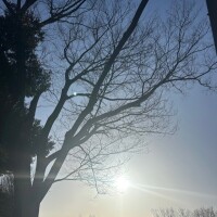 𝔾𝕠𝕠𝕕 𝕄𝕠𝕣𝕟𝕚𝕟𝕘 ☀︎*.｡