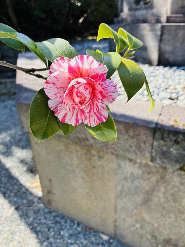 おはようございます🧡