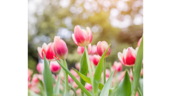 今夜は市原ルームです🌙
