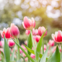 今夜は市原ルームです🌙