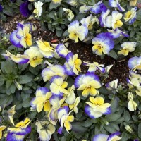 おはようございます🧡