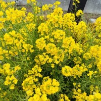 おやすみなさい🥰