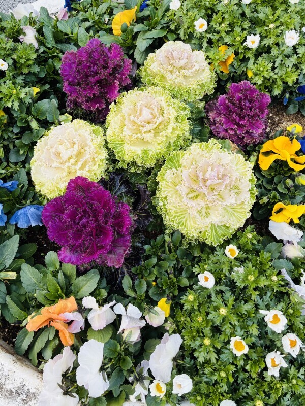 おはようございます🧡