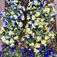 おはようございます🧡