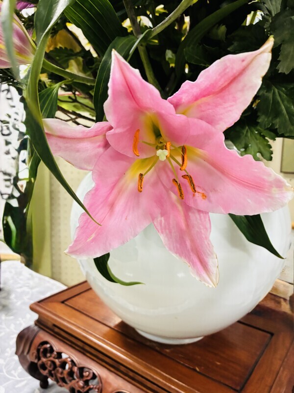 おはようございます🧡