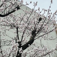 おはようございます💖