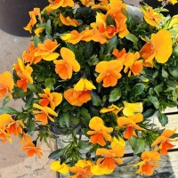 おはようございます💕