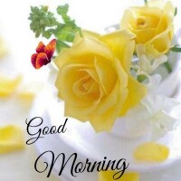 おはようございます