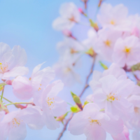 今夜市原ルームです🌙