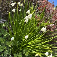 おはようございます💛