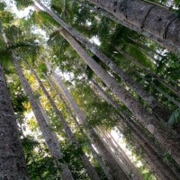 ありがとうございました✨