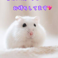 渋滞🚗🚚🚓🚙💦