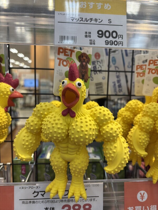 🌸🐥🌸