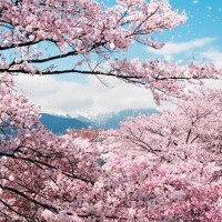 どんよりだけど…