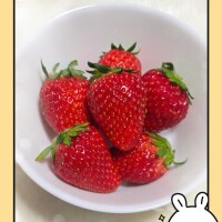 こんにちは☺️