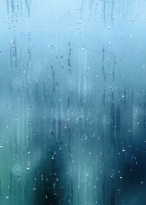 雨な日☔