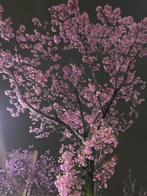 ありがとうございました✨