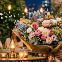 ☆*ɢᵒᵒᵈ ɴⁱᵍʰᵗ *☪︎｡✨️