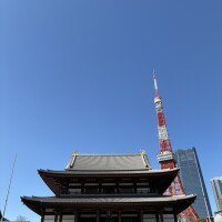 おはようございます🌸