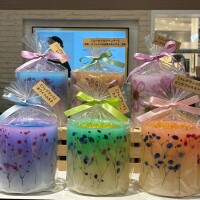 おはようございます🌸☘️