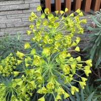 おはようございます☘️