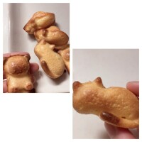 こんばんは