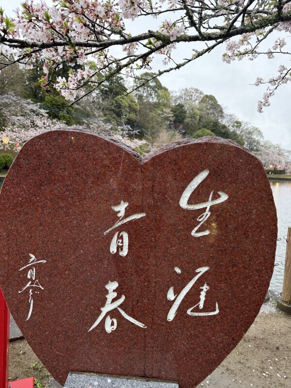 なんと‼️