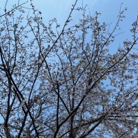 おはようございます