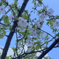 おはようございます