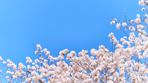 おはようございます☀