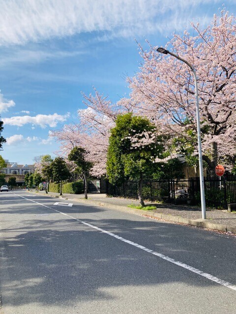 春の準備☘️