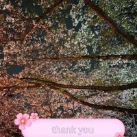 2日目ありがとうございました🌸