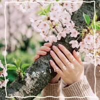 𝔾𝕠𝕠𝕕 𝕄𝕠𝕣𝕟𝕚𝕟𝕘 ☀︎*.｡